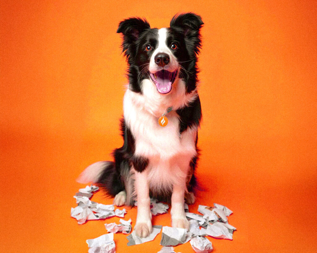 energy marketing case study