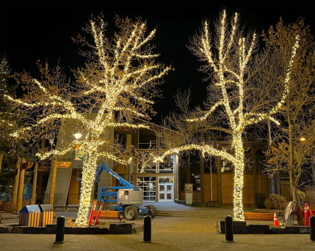Tree trunk wrapped in warm white Christmas lights by True North Christmas Lights